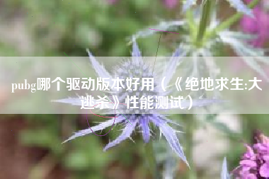 pubg哪个驱动版本好用（《绝地求生:大逃杀》性能测试）