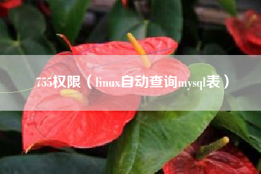 755权限（linux自动查询mysql表）