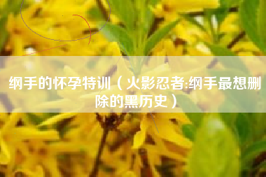 纲手的怀孕特训（火影忍者:纲手最想删除的黑历史）