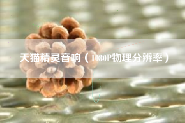 天猫精灵音响（1080P物理分辨率）
