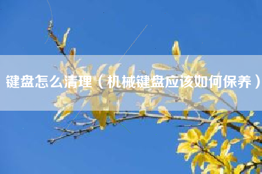 键盘怎么清理（机械键盘应该如何保养）