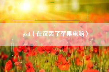gxd（在汉丢了苹果电脑）