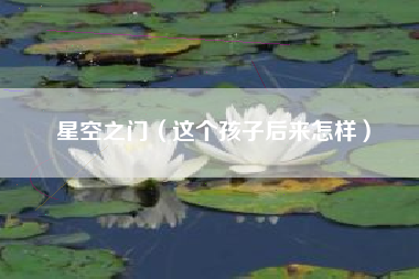 星空之门（这个孩子后来怎样）