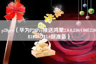 p20pro（华为P20Pro推送鸿蒙2.0.0.230(C00E230R1P5) 为3.0做准备）