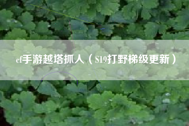 cf手游越塔抓人（S19打野梯级更新）