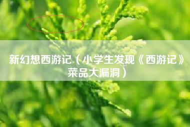 新幻想西游记（小学生发现《西游记》菜品大漏洞）