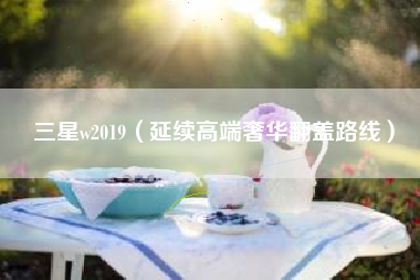 三星w2019（延续高端奢华翻盖路线）