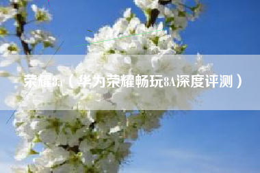 荣耀8a（华为荣耀畅玩8A深度评测）
