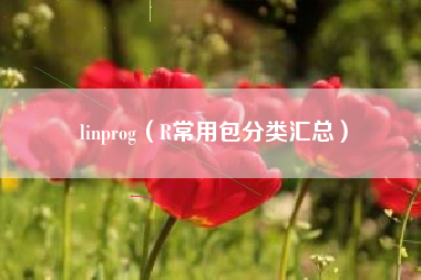 linprog（R常用包分类汇总）