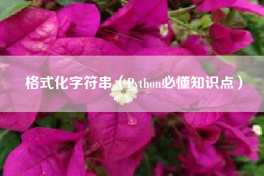 格式化字符串（Python必懂知识点）