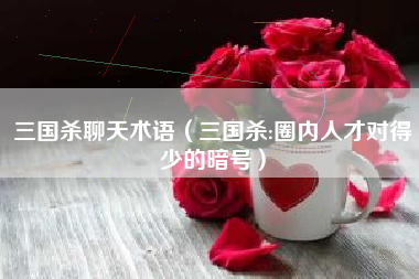 三国杀聊天术语（三国杀:圈内人才对得少的暗号）