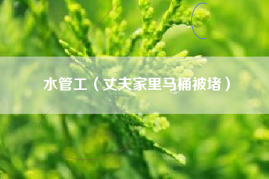 水管工（丈夫家里马桶被堵）