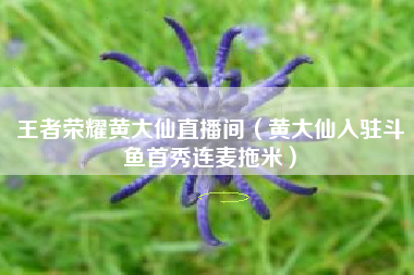 王者荣耀黄大仙直播间（黄大仙入驻斗鱼首秀连麦拖米）