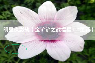 明昼夜影劫（金铲铲之战福星:1.27更新）