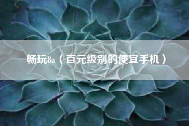 畅玩8a（百元级别的便宜手机）