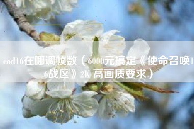cod16在哪调帧数（6000元搞定《使命召唤16战区》2K 高画质要求）
