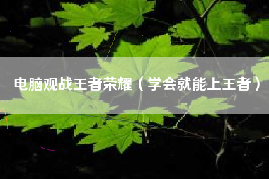 电脑观战王者荣耀（学会就能上王者）
