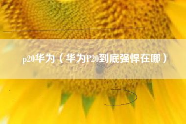 p20华为（华为P20到底强悍在哪）