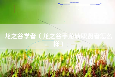 龙之谷学者（龙之谷手游转职贤者怎么样）