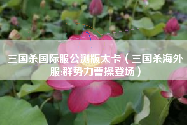三国杀国际服公测版太卡（三国杀海外服:群势力曹操登场）