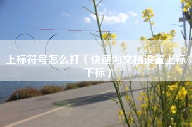 上标符号怎么打（快速为文档设置上标/下标）