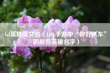 lol英雄英文名（LOL手游中“你好机车”的那些英雄名字）