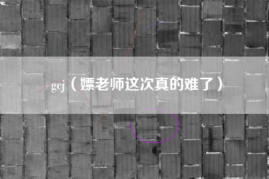 gcj（嫖老师这次真的难了）