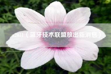 a2031（蓝牙技术联盟放出新消息）