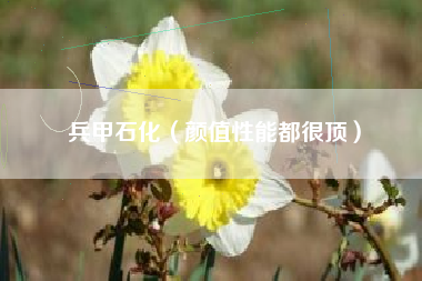 兵甲石化（颜值性能都很顶）