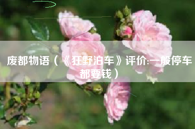 废都物语（《狂野泊车》评价:一般停车都要钱）