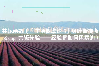 共轭函数（「生活概率论-5」贝叶斯推断 & 共轭先验——经验是如何积累的）
