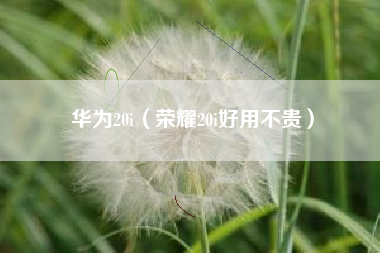 华为20i（荣耀20i好用不贵）