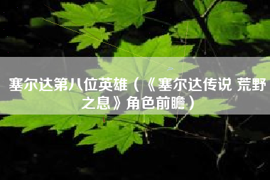 塞尔达第八位英雄（《塞尔达传说 荒野之息》角色前瞻）