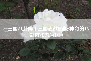 qq三国八卦阵（三国志战略版:神奇的八卦阵和九宫图）