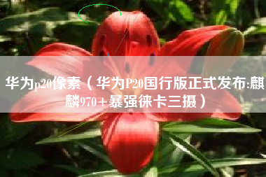 华为p20像素（华为P20国行版正式发布:麒麟970+暴强徕卡三摄）