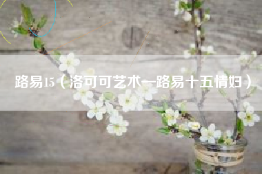 路易15（洛可可艺术—路易十五情妇）