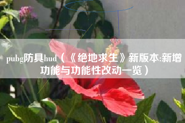 pubg防具hud（《绝地求生》新版本:新增功能与功能性改动一览）