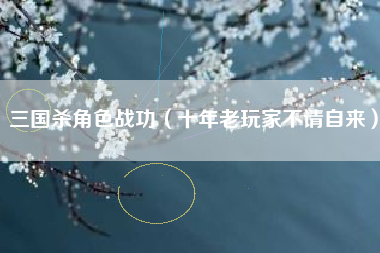 三国杀角色战功（十年老玩家不请自来）