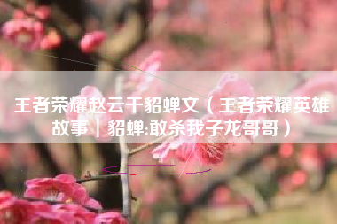 王者荣耀赵云干貂蝉文（王者荣耀英雄故事︱貂蝉:敢杀我子龙哥哥）