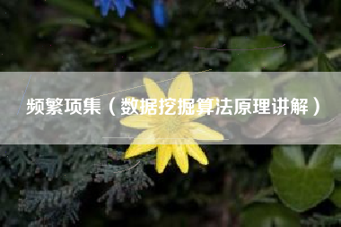 频繁项集（数据挖掘算法原理讲解）