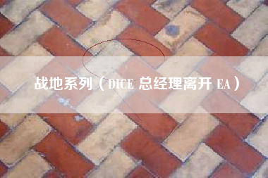 战地系列（DICE 总经理离开 EA）