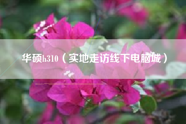 华硕h310（实地走访线下电脑城）