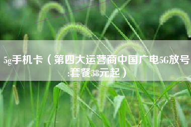 5g手机卡（第四大运营商中国广电5G放号:套餐38元起）