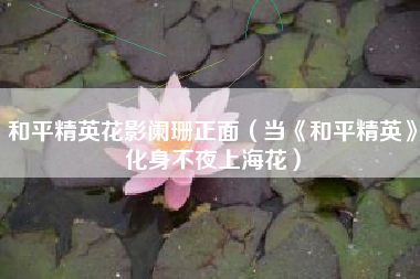 和平精英花影阑珊正面（当《和平精英》化身不夜上海花）