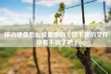 移动硬盘怎么设置密码（这下我的文件你看不到了吧）