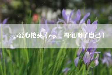 csgo爱心枪头（csgo一哥证明了自己）