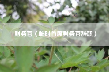 财务官（临时首席财务官辞职）