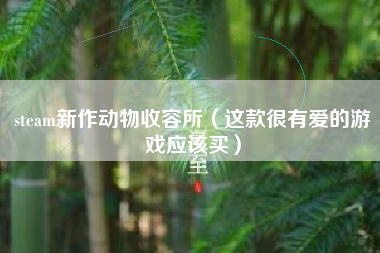 steam新作动物收容所（这款很有爱的游戏应该买）
