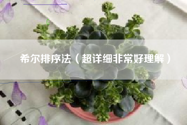 希尔排序法（超详细非常好理解）