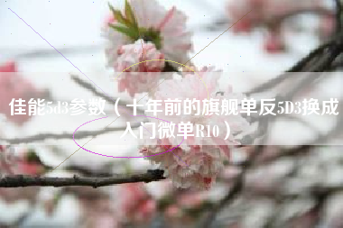 佳能5d3参数（十年前的旗舰单反5D3换成入门微单R10）